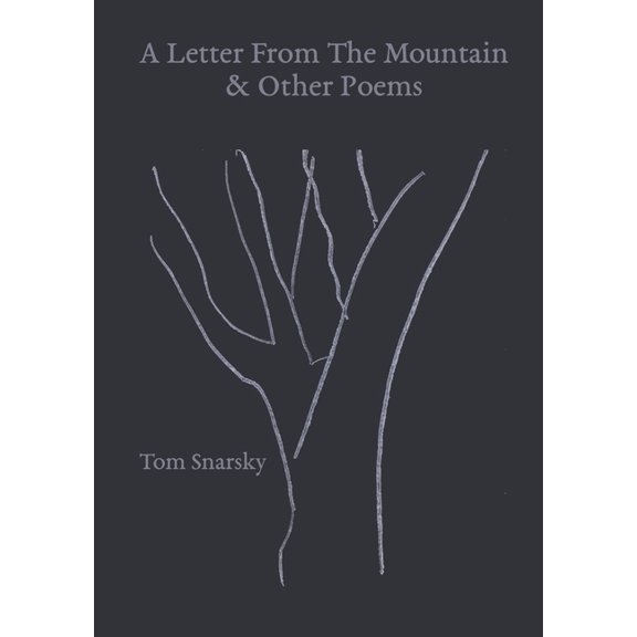 A Letter From The Mountain & Other Poems, (Paperback)