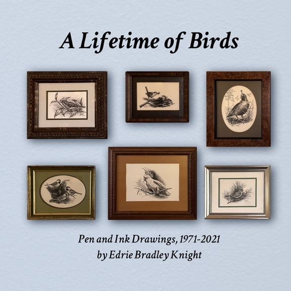 A Lifetime of Birds: Pen and Ink Drawings, 1971-2021, (Paperback)