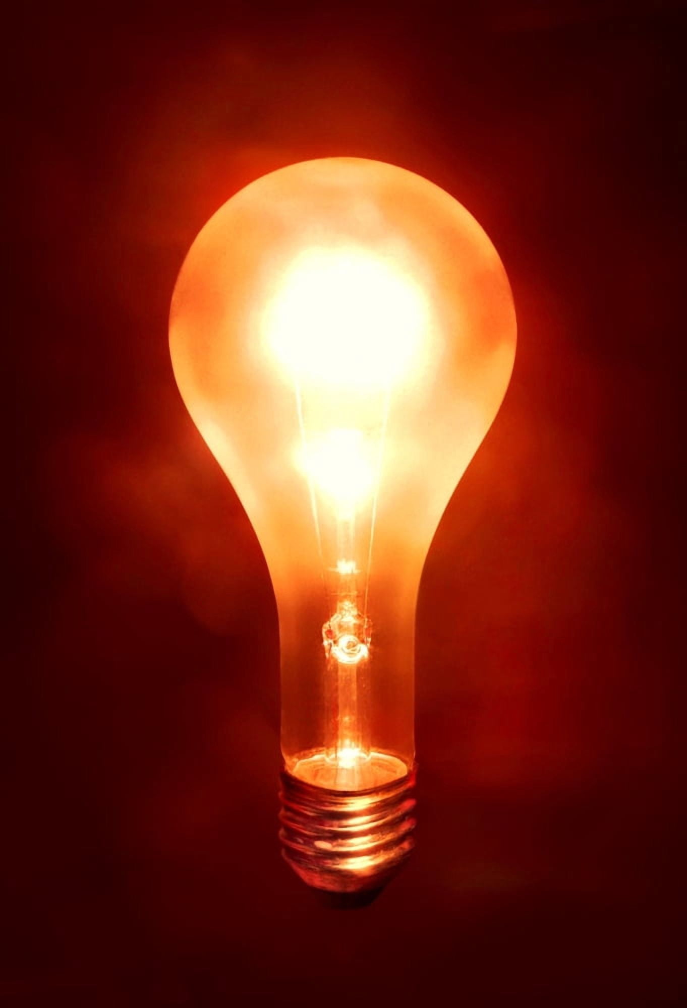 A Light Bulb Canvas Art - Don Hammond Design Pics (22 x 32)