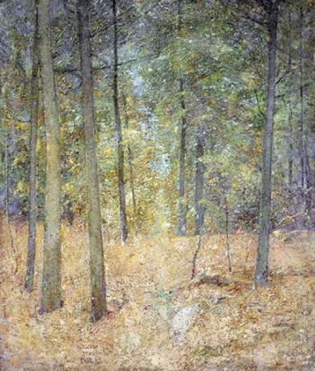 A Light In The Forest Canvas Art - Soren Emil Carlsen (24 x 24)