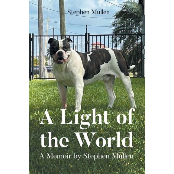 A Light of the World: A Memoir by Stephen Mullen, (Paperback)