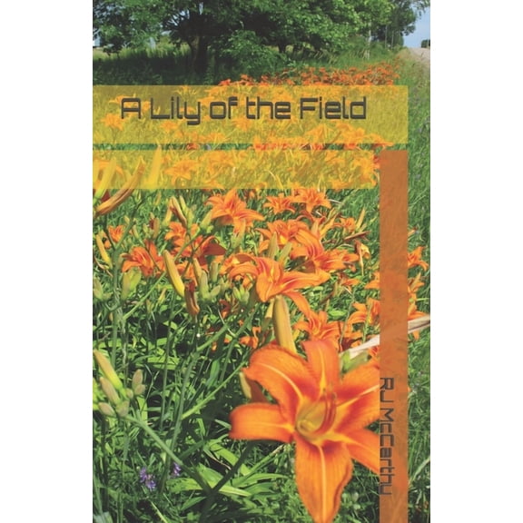 A Lily of the Field, (Paperback)