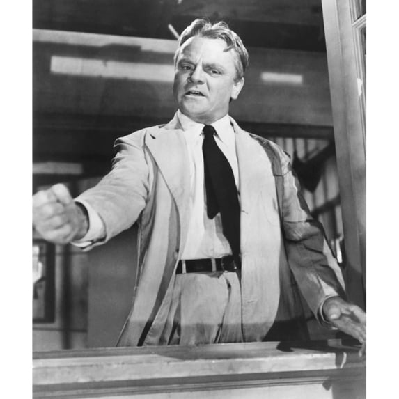 A Lion Is In The Streets Portrait (16 x 20)