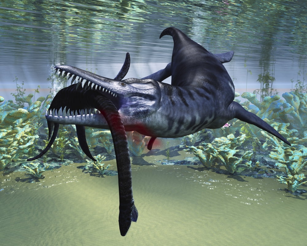 A Liopleurodon attacks a Plesiosaurus Canvas Art - Corey FordStocktrek Images (16 x 13)