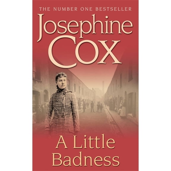 Pre-Owned A Little Badness (Paperback)