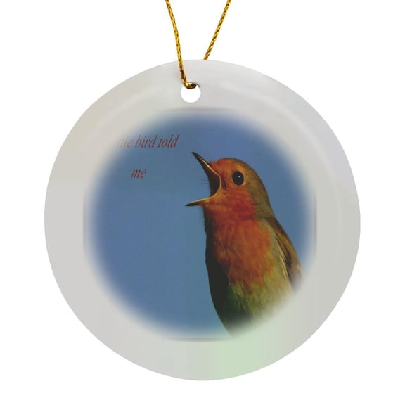 3drose, a Little Bird Told Me - European Robin, Erithacus Rubecula, Robin, Bird, Birds, Wildlife, Circle Porcelain Ornament