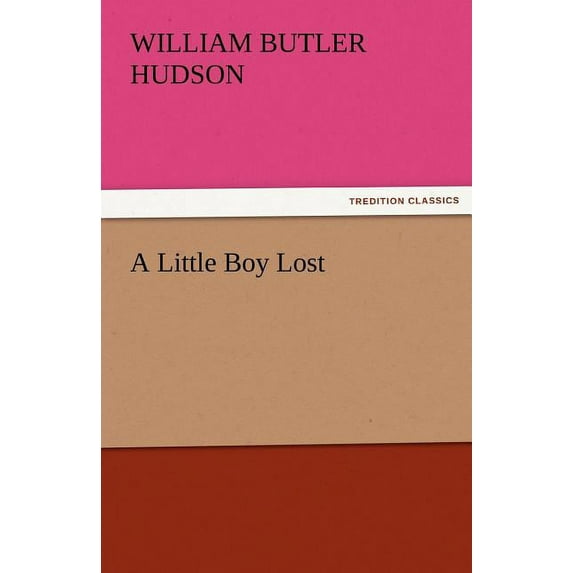 A Little Boy Lost (Paperback)