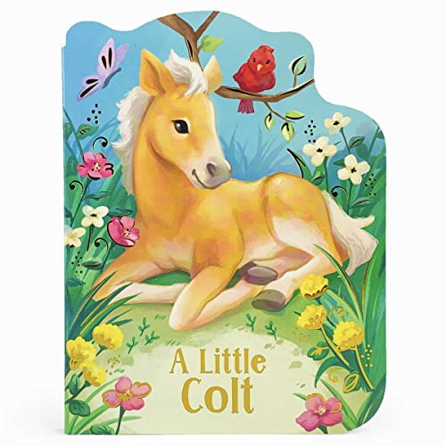 Pre-Owned A Little Colt (Board Book)