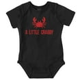 thumbnail image 1 of A Little Crabby Cranky Beach Lover Romper Boys or Girls Infant Baby Brisco Brands 12M, 1 of 6