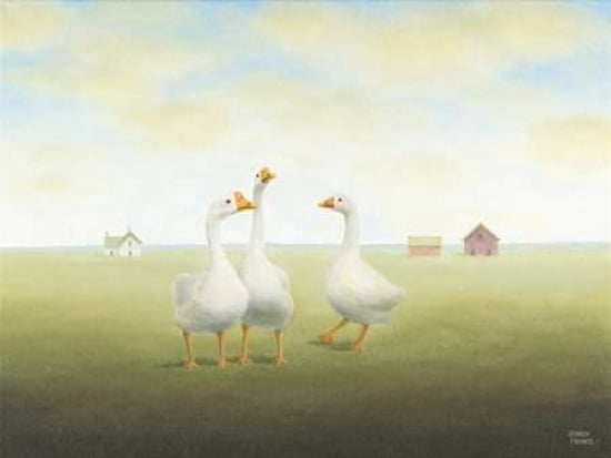 A Little Gander Canvas Art - Sharon France (18 x 24)