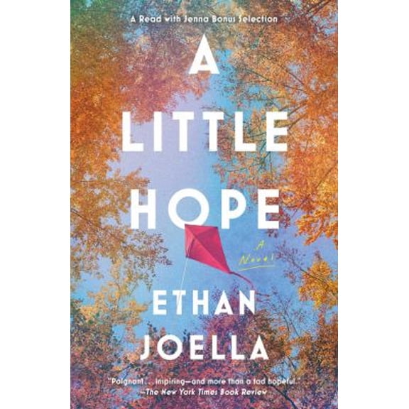Pre-Owned A Little Hope (Paperback) 1982171200 9781982171209
