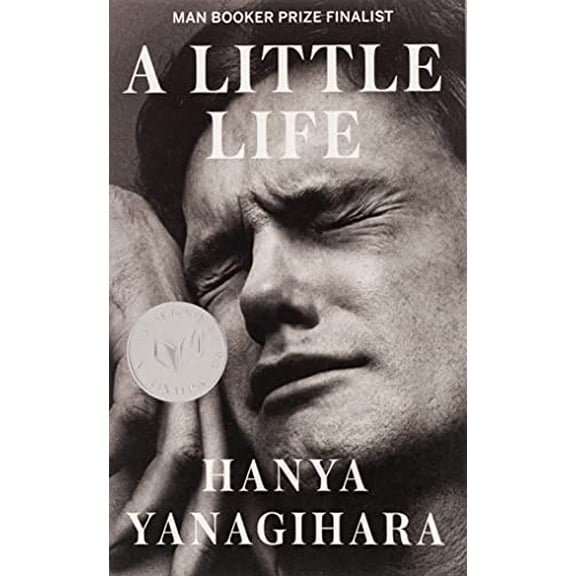 Pre-Owned A Little Life (Paperback) 0804172706 9780804172707