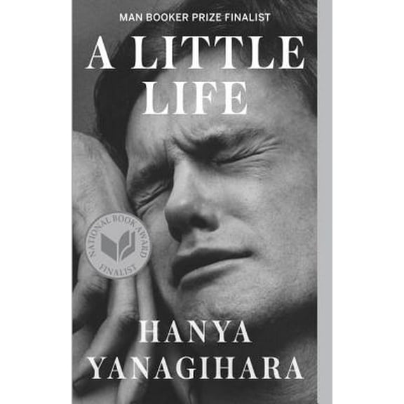 Pre-Owned A Little Life (Paperback) 0804172706 9780804172707
