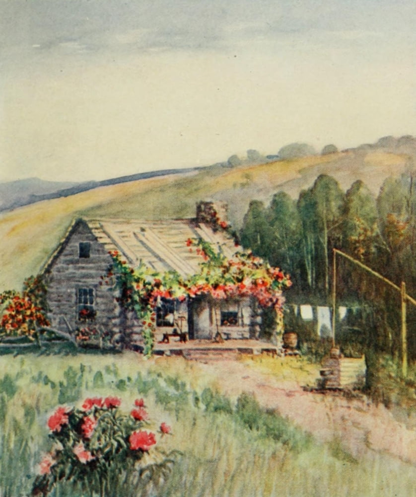 A Little Maryland Garden 1909 Flower shack Canvas Art - Zulma deL Steele (18 x 24)