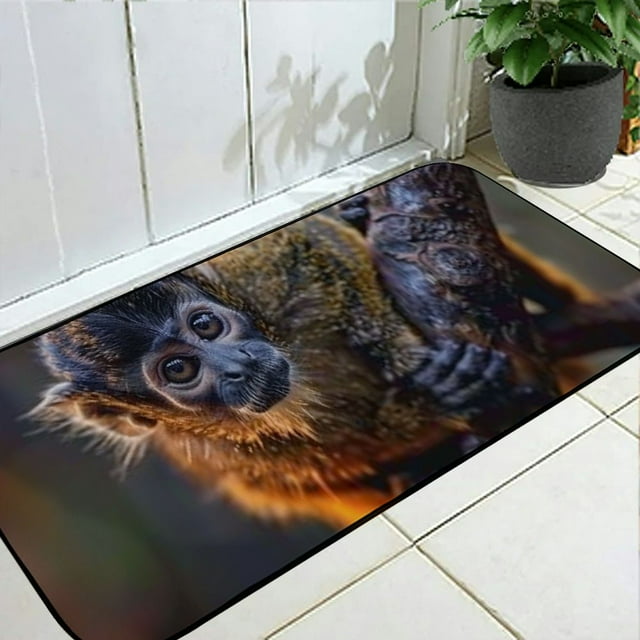 A Little Monkey Doormat Washable Indoor Door Mat Durable NonSlip