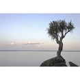 thumbnail image 1 of A Lone Tree On Lake Superior; Grand Portage Minnesota United States Of America Poster Print, 1 of 3