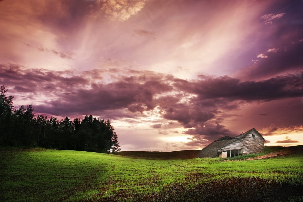 A Lonely Farm Building In An Open Field Canvas Art - Chris and Kate Knorr Design Pics (34 x 22)