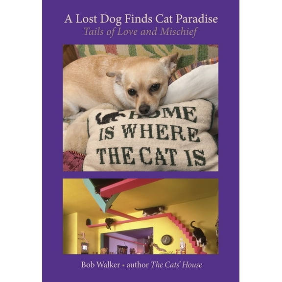 A Lost Dog Finds Cat Paradise: Tails of Love and Mischief, (Paperback)