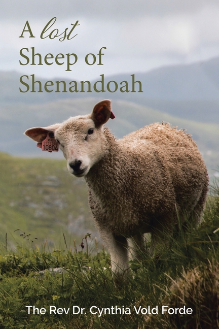 A Lost Sheep of Shenandoah: Charles Edwin Rinker of Virginia and Harry ...