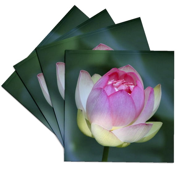 3drose, a Lotus Flower, Set of 4 Ceramic Tile Coasters