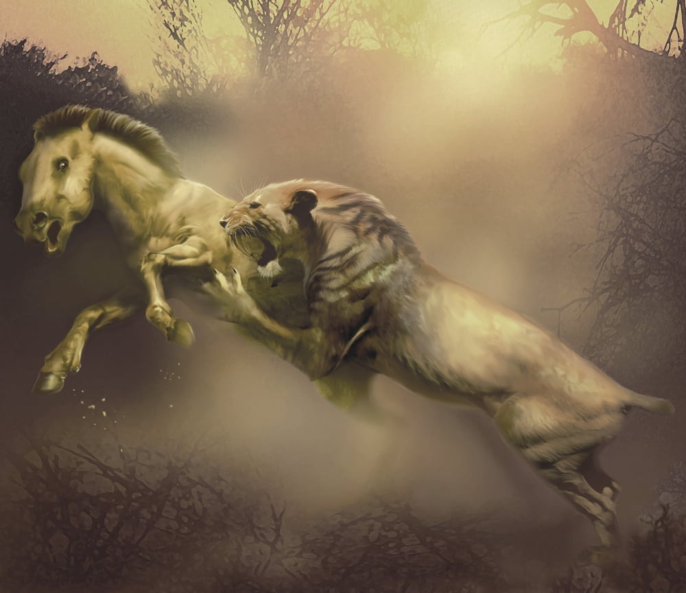 A Machairodus saber-toothed cat attacks a vulnerable Neohipparion Canvas Art - Jan SovakStocktrek Images (15 x 13)