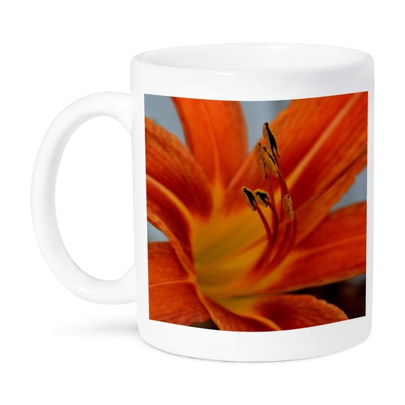 3dRose, A macro photo of a day lily, 15oz Mug