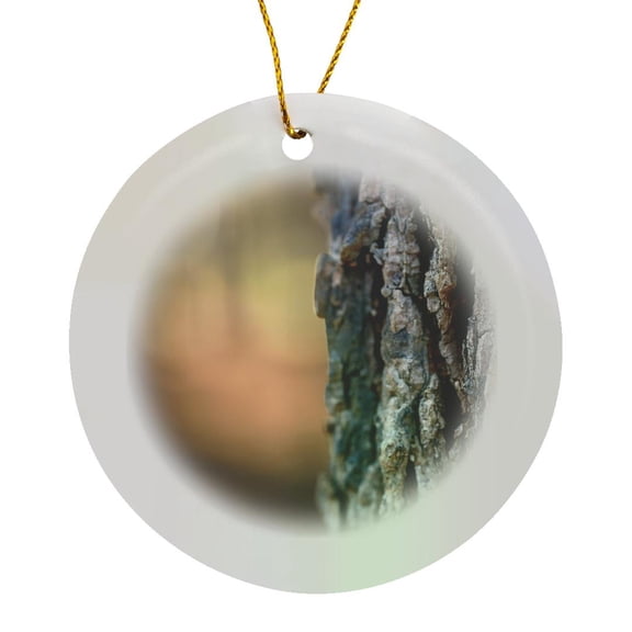3drose, a Macro Photo of a Shagbark Hickory Tree Against a Bokeh Background., Circle Porcelain Ornament