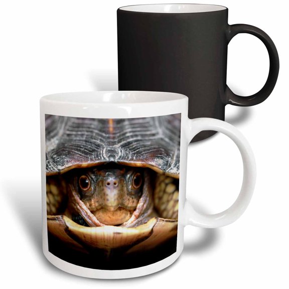 3drose, a Macro Photograph of a Box Turtle Coming Out of His Shell., 11oz Magic Transforming Mug