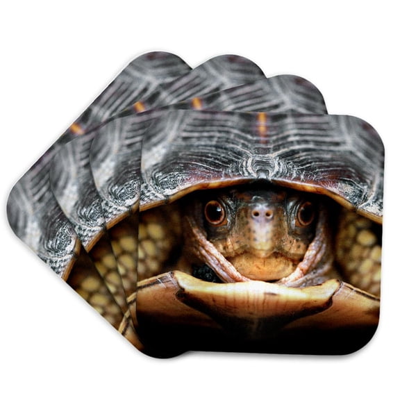 3drose, a Macro Photograph of a Box Turtle Coming Out of His Shell., Set of 4 Coasters - Soft