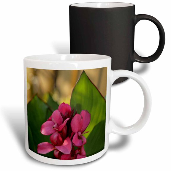 3drose, a Macro Photograph of a Pink Canna Lily in Bloom., 11oz Magic Transforming Mug