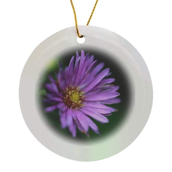 3drose, a Macro Photograph of a Purple Aster on a Green Bokeh Background., Circle Porcelain Ornament