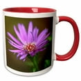 thumbnail image 1 of 3drose, a Macro Photograph of a Single Purple Aster Flower., 15oz Two-tone Red Mug, 1 of 6