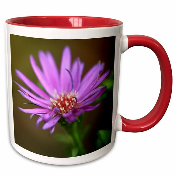 3drose, a Macro Photograph of a Single Purple Aster Flower., 15oz Two-tone Red Mug