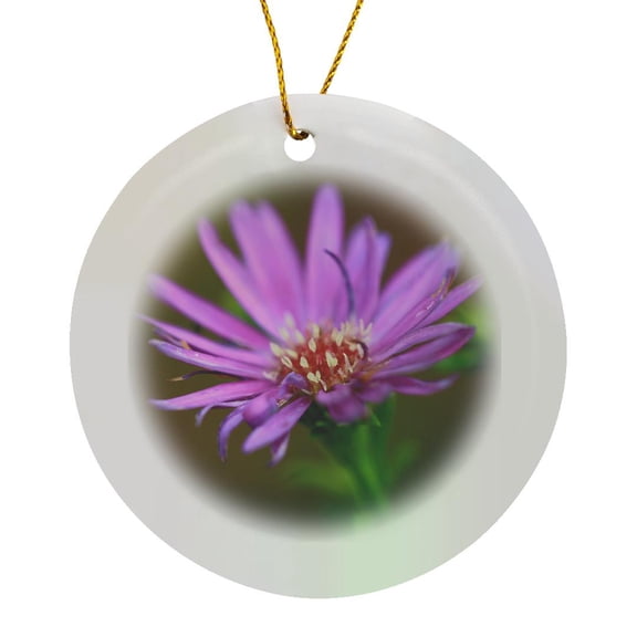 3drose, a Macro Photograph of a Single Purple Aster Flower., Circle Porcelain Ornament