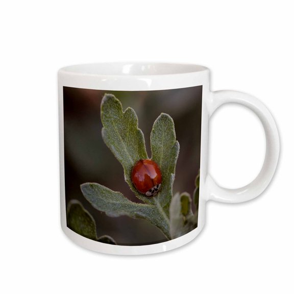 3drose, a Macro Photograph of a Tiny Ladybug on a Chrysanthemum Leaf., 11oz Mug