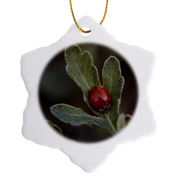 3drose, a Macro Photograph of a Tiny Ladybug on a Chrysanthemum Leaf., 3 inch Snowflake Porcelain Ornament
