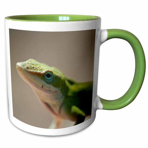 3drose, a Macro Photograph of the Face of a Green Anole Lizard., 15oz Two-tone Green Mug