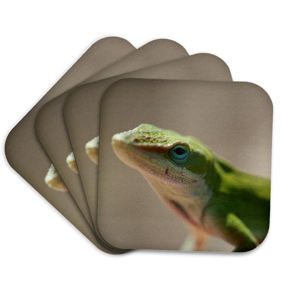 3drose, a Macro Photograph of the Face of a Green Anole Lizard., Set of 4 Coasters - Soft