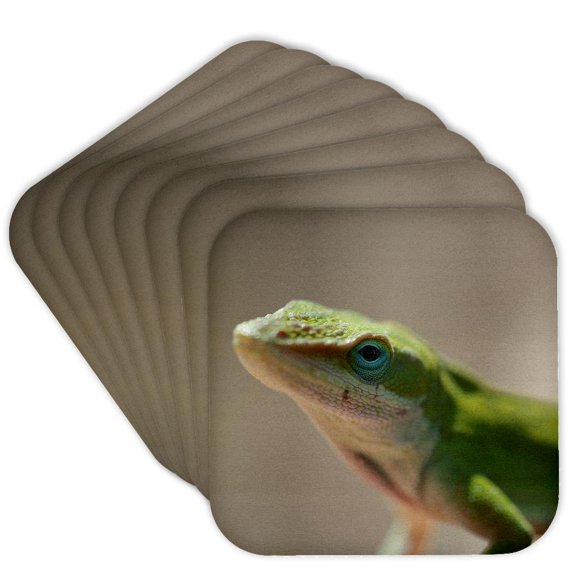 3drose, a Macro Photograph of the Face of a Green Anole Lizard., Set of 8 Coasters - Soft