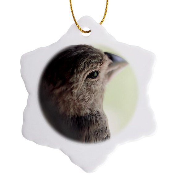 3drose, a Macro Photograph over the Wing of a House Finch., 3 inch Snowflake Porcelain Ornament