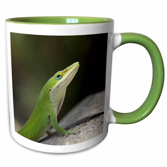 3drose, a Macro Portrait Photograph of a Green Anole Lizard., 11oz Two-tone Green Mug