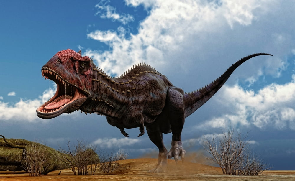 A Majungasaurus breaks into a run upon seeing prey Canvas Art - Philip BrownlowStocktrek Images (36 x 22)