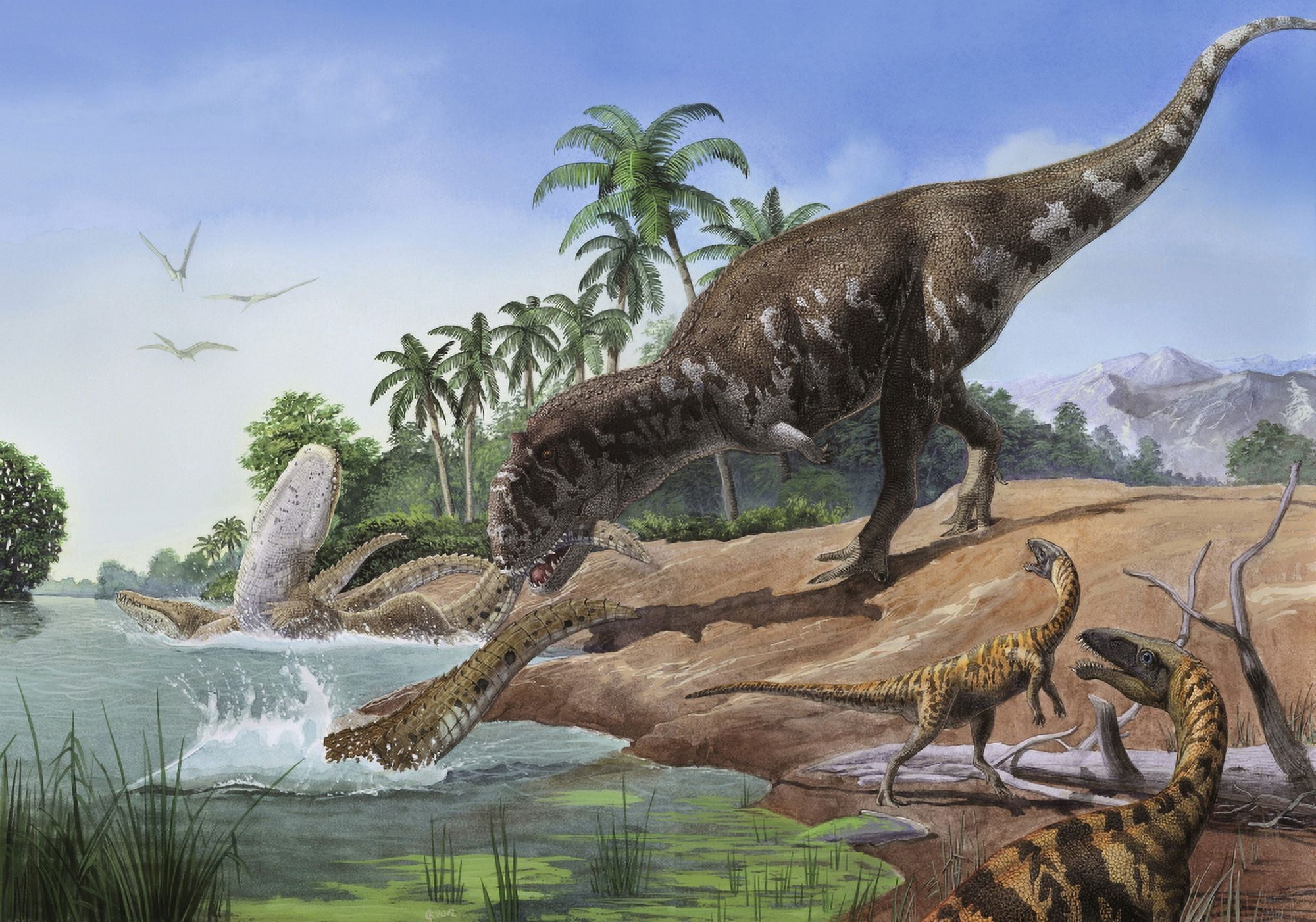A Majungasaurus grabs the tail of a crocodilian Mahajangasuchu Canvas Art - Sergey KrasovskiyStocktrek Images (17 x 12)