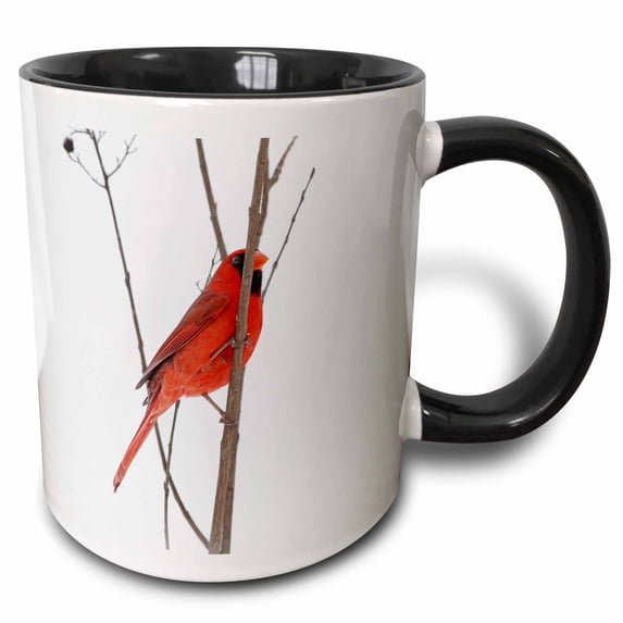 3drose, a Male Northern Cardinal Peeking Around a Branch on a Snowy Day., 11oz Two-tone Black Mug