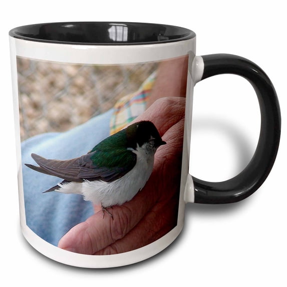 3drose, a Man Holding an Injured Green, White and Gray Bird on His Finger in Pine Valley, Utah, 15oz Two-tone Black Mug