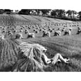 thumbnail image 1 of A Man Lounges Around In A Wheat Field. Date Unknown. Courtesy Of Csu ArchivesEverett Collection History, 1 of 1