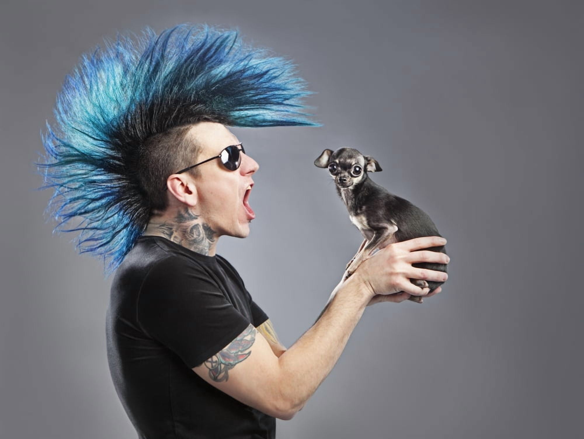 A Man With A Blue Mohawk Yells At His Dog Canvas Art - Leah Hammond Design Pics (17 x 13)