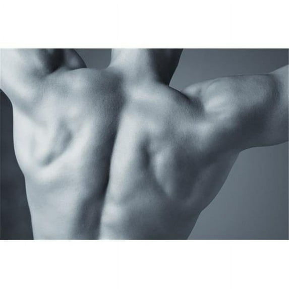 A Mans Back Poster Print by Don Hammond, 17 x 11