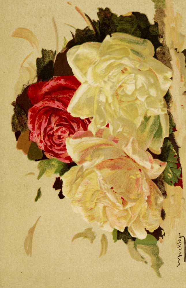 A Manual on Flower Painting 1888 Roses 2 Canvas Art - William J Muckley (24 x 36)