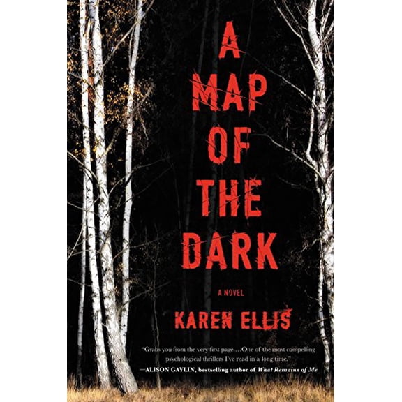 Pre-Owned A Map of the Dark (Paperback) 0316505684 9780316505680